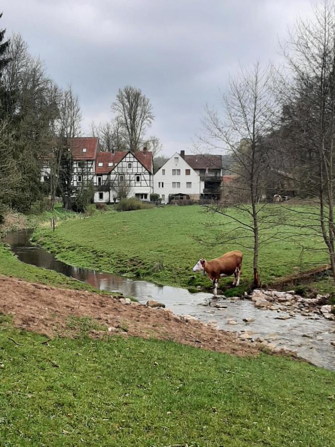 瓦尔德克Haus An Der Werbe公寓 外观 照片
