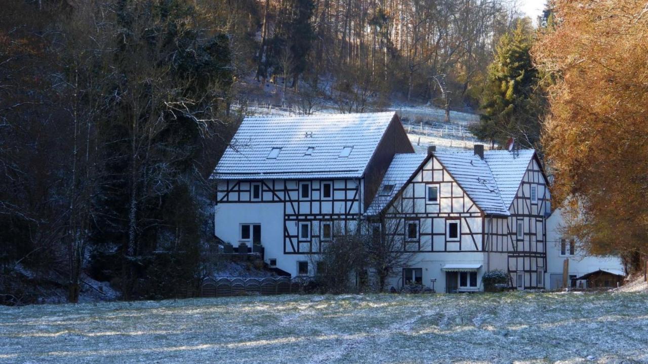 瓦尔德克Haus An Der Werbe公寓 外观 照片