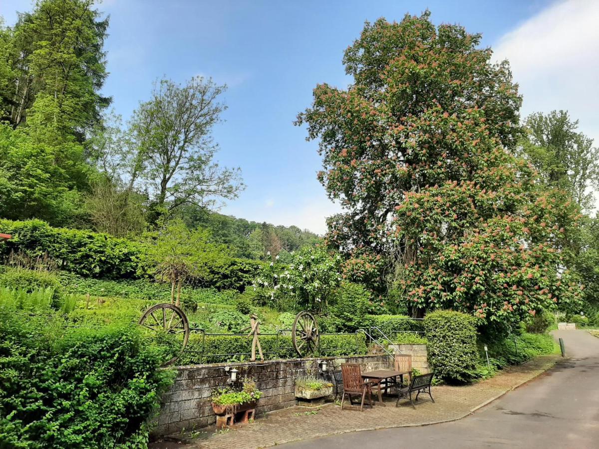 瓦尔德克Haus An Der Werbe公寓 外观 照片