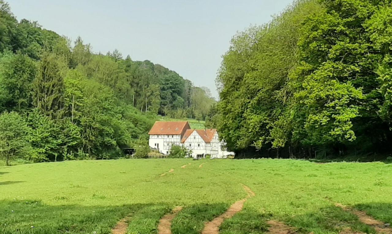 瓦尔德克Haus An Der Werbe公寓 外观 照片